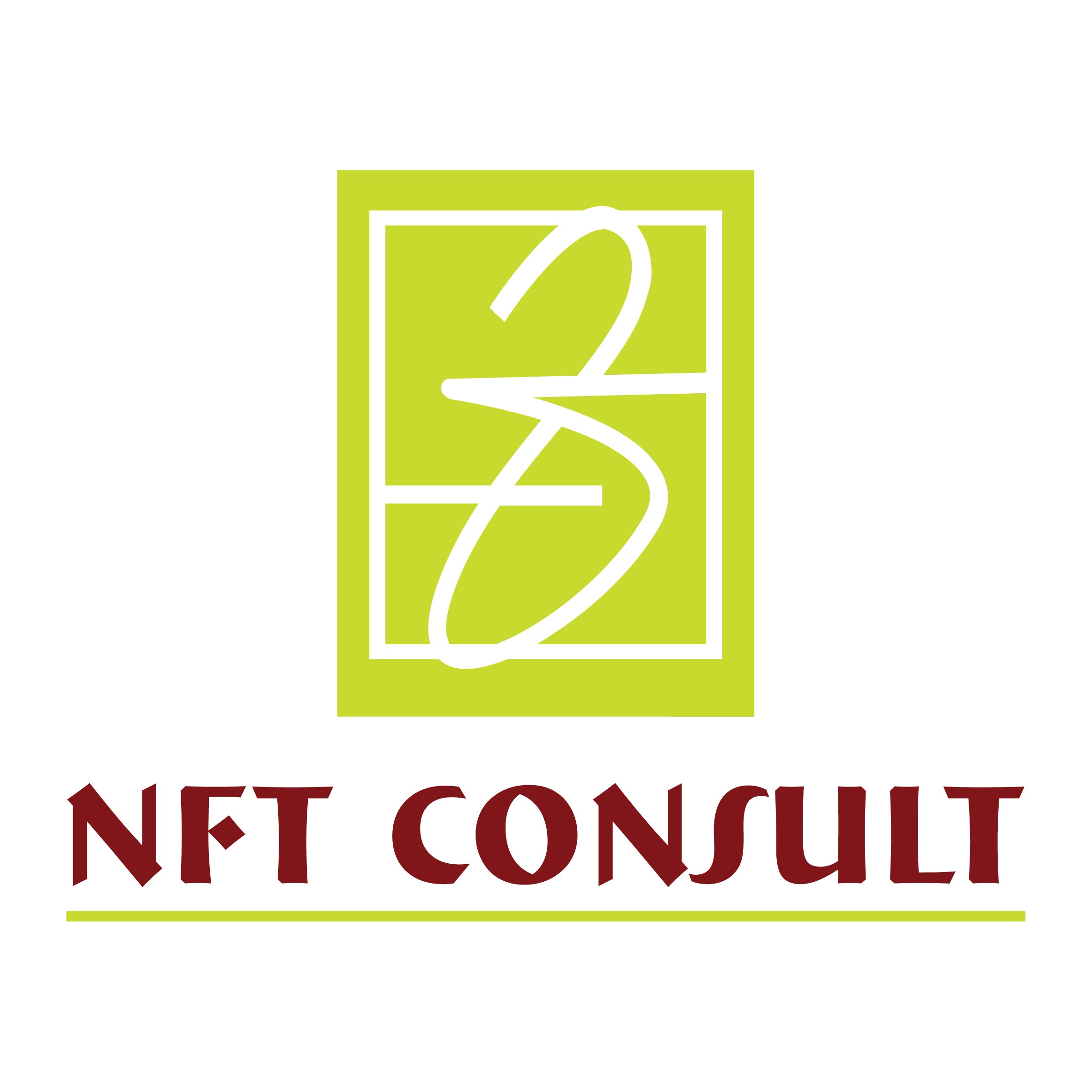 NEW FRONTIERS TECHNOLOGY CONSULT LTD